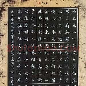 蔡金星 硬笔楷书作品《陶渊明诗三首》图片欣赏
