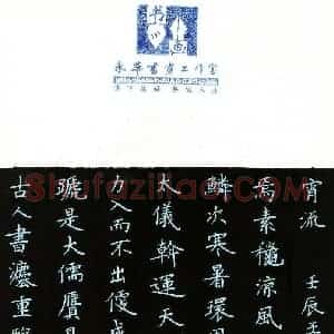 何永华 硬笔楷书作品《书论选录》图片欣赏