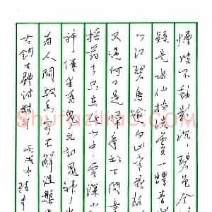 孙步国 硬笔行书作品《古诗抄》图片欣赏