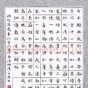 焦石 硬笔楷书作品《陆游感事六言六首》图片欣赏