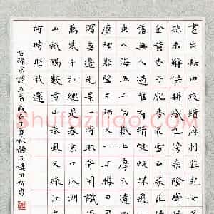 硬笔书法大赛 田智勇(特邀 重庆)参赛硬笔书法作品欣赏
