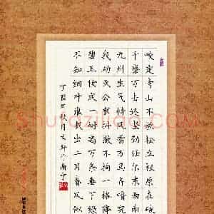 钟文轩(少儿组 11岁 银奖)硬笔书法大赛 获奖作品图片欣赏