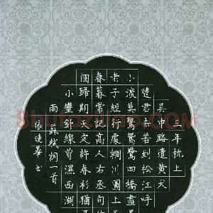 张晓华 硬笔楷书作品《苏轼词一首》图片欣赏