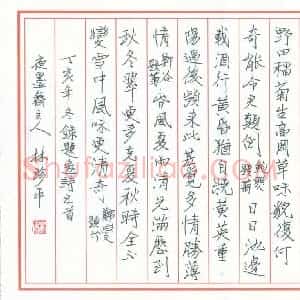 林珍平 硬笔行楷作品《录题画诗五首》图片欣赏