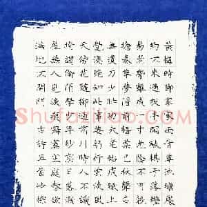 黄峙棕(少儿组 10岁 银奖)硬笔书法大赛 获奖作品图片欣赏