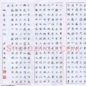 赵彦良 硬笔楷书作品《姚鼐登泰山记》图片欣赏