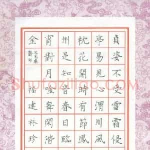 林珍平 硬笔楷书作品《马廉斋句》图片欣赏