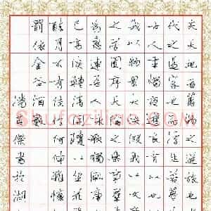 潘英杰 硬笔行书作品《李白春夜宴从弟桃李园序》图片欣赏