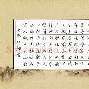 骈翩(少儿组 13岁 银奖)硬笔书法大赛 获奖作品图片欣赏