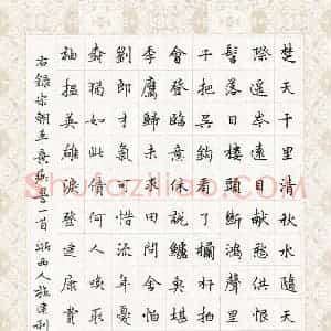 施建利 硬笔楷书作品《辛弃疾词一首》图片欣赏