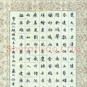 施建利 硬笔楷书作品《辛弃疾词一首》图片欣赏