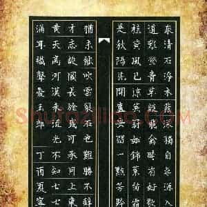 宁雨翩(少儿组 14岁 银奖)硬笔书法大赛 获奖作品图片欣赏
