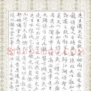 施建利 硬笔楷书作品《范仲淹严先生祠堂记》图片欣赏