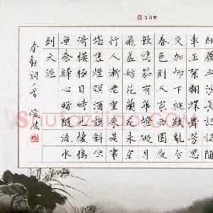 隋俊波 硬笔楷书作品《秦观词一首》图片欣赏