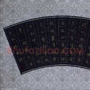 赖敬槐 硬笔楷书作品《鹧鸪天词一首》图片欣赏