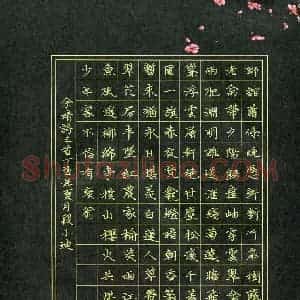 段小迪(少儿组 13岁 银奖)硬笔书法大赛 获奖作品图片欣赏