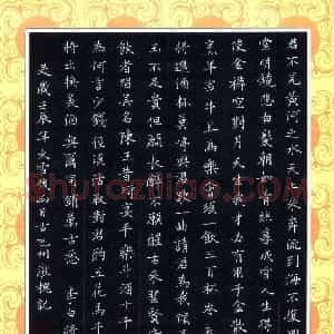 赖敬槐 硬笔楷书作品《李白诗将进酒》图片欣赏