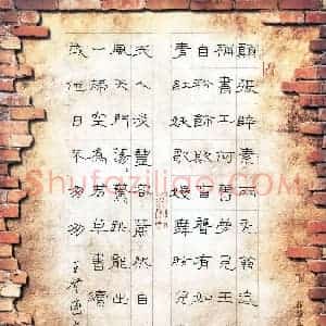 王登峦 硬笔隶书作品《苏轼诗一首》图片欣赏