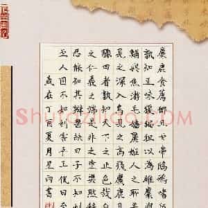 席谢星雨(少儿组 11岁 银奖)硬笔书法大赛 获奖作品图片欣赏