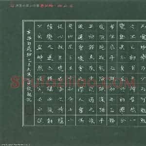 赖敬槐 硬笔楷书作品《书谱句选抄》图片欣赏