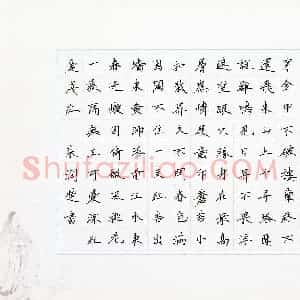 朱润楚(少儿组 12岁 银奖)硬笔书法大赛 获奖作品图片欣赏