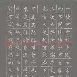 硬笔楷书作品《岳阳楼长联》图片欣赏