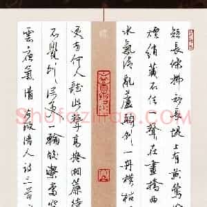 潘永锋 硬笔行书作品《清人诗三首》图片欣赏
