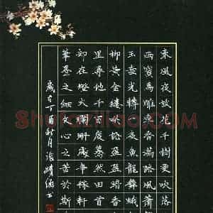 张婧涵(少儿组 13岁 银奖)硬笔书法大赛 获奖作品图片欣赏