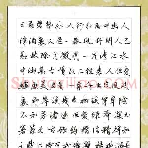 潘永锋 硬笔行书作品《古诗六首》图片欣赏
