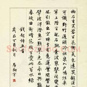 马翔宇(少儿组 13岁 银奖)硬笔书法大赛 获奖作品图片欣赏