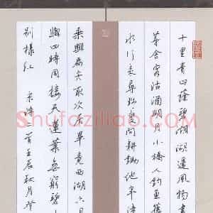 王登峦 硬笔行书作品《宋词二首》图片欣赏