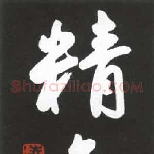 硬笔行书作品《精气神》图片欣赏
