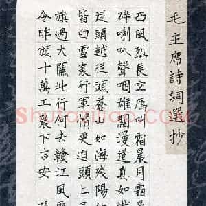 孙一帆(少儿组 11岁)硬笔书法大赛 入围作品选登图片欣赏
