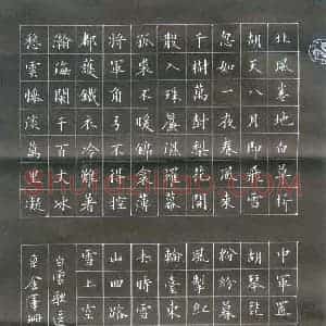 金泽珊 硬笔楷书作品《岑参诗一首》图片欣赏