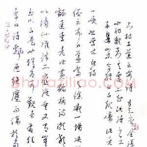 金泽珊 硬笔行草作品《杜子美诗》图片欣赏