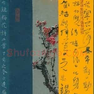 李忠燊 硬笔行书作品《梅花诗二首》图片欣赏