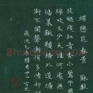 赖敬槐 硬笔楷书作品《苏轼词蝶恋花春景》图片欣赏
