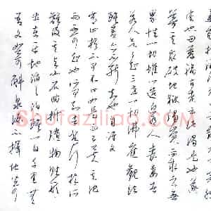 金泽珊 硬笔行草作品《东坡跋文二则》图片欣赏