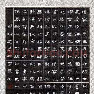 李昱彤(少儿组 12岁 金奖)硬笔书法大赛 获奖作品图片欣赏