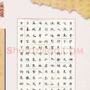 杨晨婳(少儿组 13岁 银奖)硬笔书法大赛 获奖作品图片欣赏