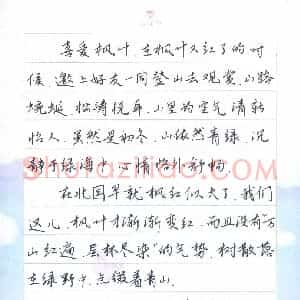 徐佳(少儿组 13岁)硬笔书法大赛 入围作品选登图片欣赏
