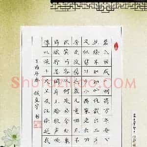 钱星宇(少儿组 12岁 银奖)硬笔书法大赛 获奖作品图片欣赏