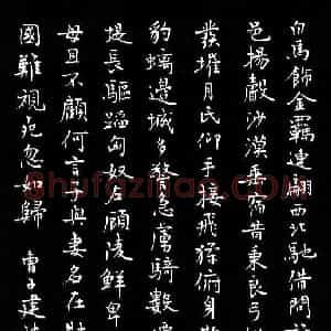 唐国生 硬笔楷书作品《曹子建诗白马篇》图片欣赏