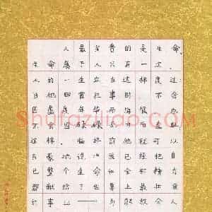 马潇菁(少儿组 9岁)硬笔书法大赛 入围作品选登图片欣赏
