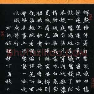 冷佳蔓(成人组 优秀奖)硬笔书法大赛 获奖作品图片欣赏