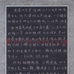 韦元正(少儿组 13岁 金奖)硬笔书法大赛 获奖作品图片欣赏