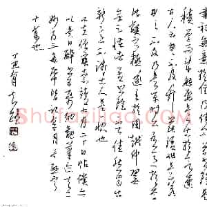 金泽珊 硬笔行草作品《苏轼评草书》图片欣赏