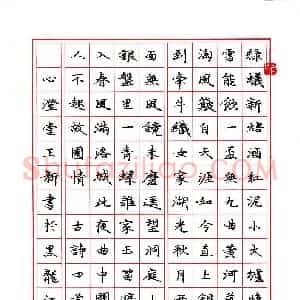 王新(成人组 优秀奖)硬笔书法大赛 获奖作品图片欣赏