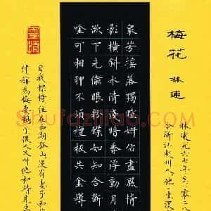 张彦斌(成人组 优秀奖)硬笔书法大赛 获奖作品图片欣赏