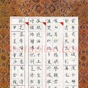 章泽(少儿组 14岁)硬笔书法大赛 入围作品选登图片欣赏